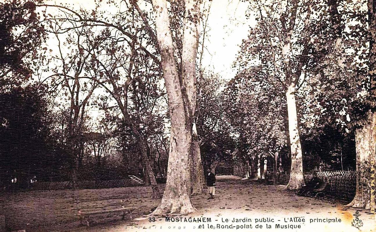 Mostaganem - Jardin - Public - Allee et Rond-Point de la Musique.jpg
